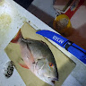 Meet your Posher, Muddy fisherman florida